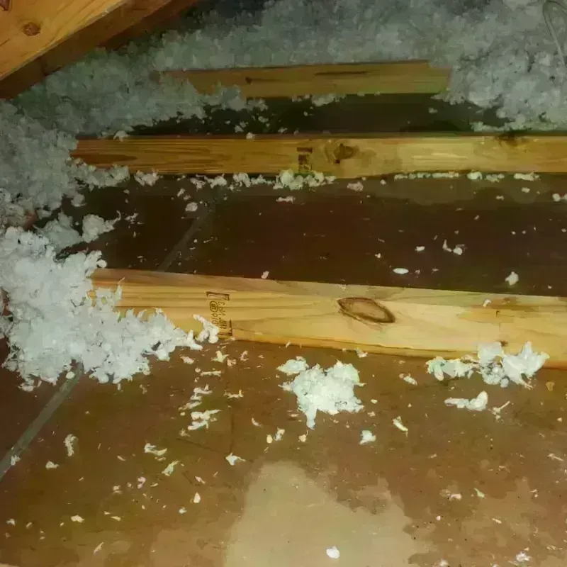 Attic Water Damage in Tribune, KS