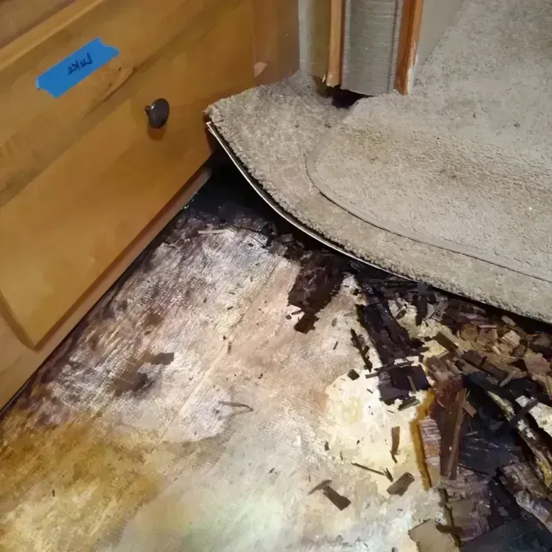 Best Wood Floor Water Damage Service in Tribune, KS